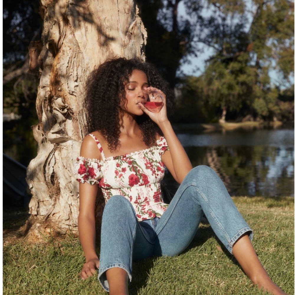 NWT Reformation Ryeton Top in Georgette